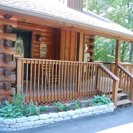 His Promises Cabin Pigeon Forge Kültér fotó